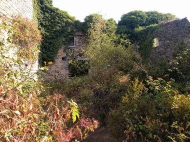 Casa abandonada cubierta de arboles. Dağda ağaçlarla kaplı terk edilmiş bir ev..
