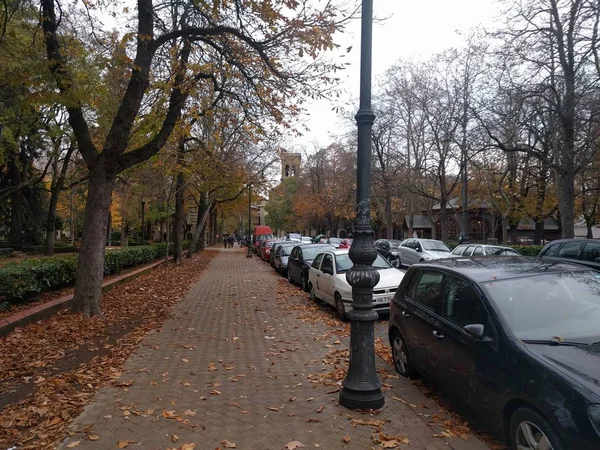 Calle Bosquecillo Pamplona en otoo, con hojas caidas. Strada di autunno in Pamplona con foglie cadute. — Foto Stock