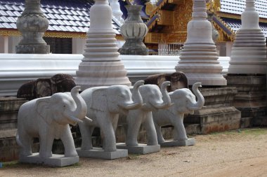 Budizm 'in heykel, mimari ve sembolleri