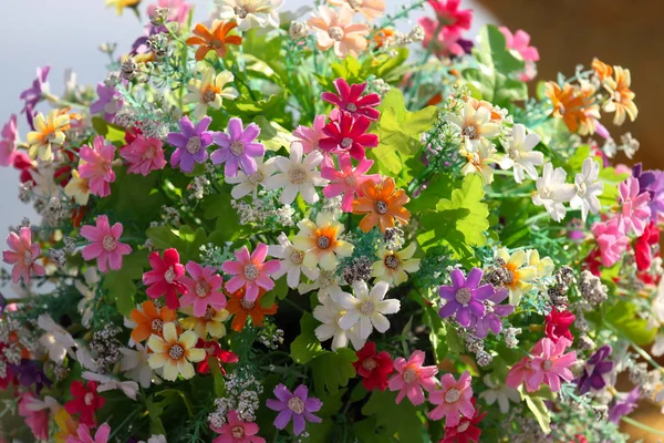 Brillantes Flores Multicolores Tailandia Sudeste Asiático —  Fotos de Stock