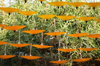 Dekoratif Çin şemsiye kompozisyon, Tayland