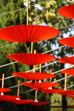 Dekoratif Çin şemsiye kompozisyon, Tayland