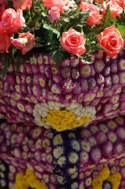 Parlak renkli çok renkli çiçek, Tayland, Thailand, Güneydoğu Asya