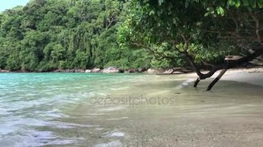 Okyanus kıyısında Koh Surin Island, Tayland