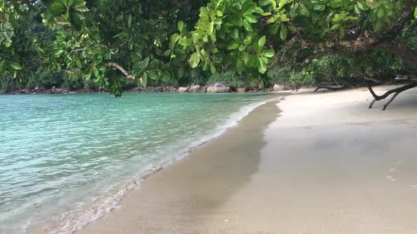 Океанский берег на острове Ко Сурин, Таиланд — стоковое видео