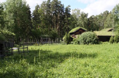Geleneksel eski ahşap binalar, Norveç, Scandinavia, Kuzey Avrupa