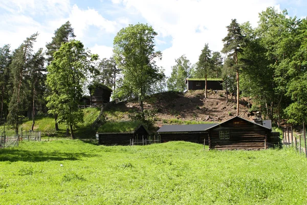 Traditionelle alte Holzbauten, Norwegen — Stockfoto