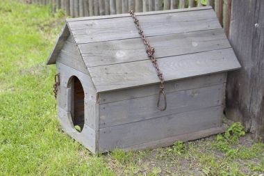 Bir demir zinciri ve kırık bir çatı ile ahşap köpek kulübesi