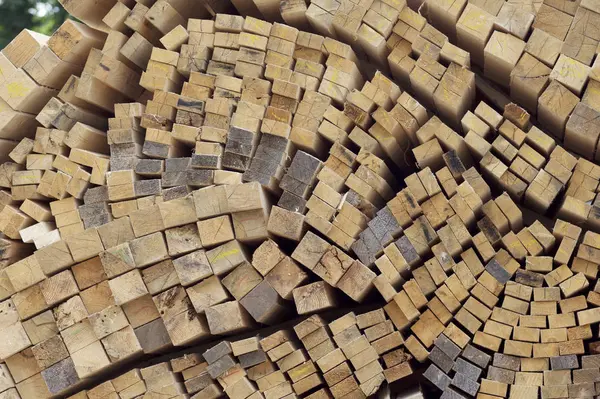 Boyutlanmış ahşap panoları ve barlarda bir paket stok, Rusya Federasyonu