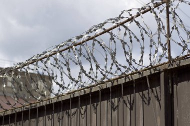 Dikenli tel çit, Rusya zirvesine kadar yara