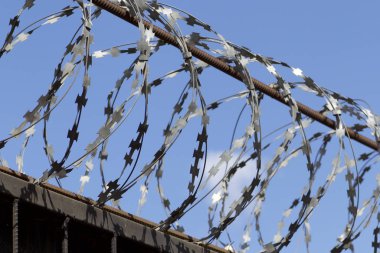 Dikenli tel çit, Rusya zirvesine kadar yara