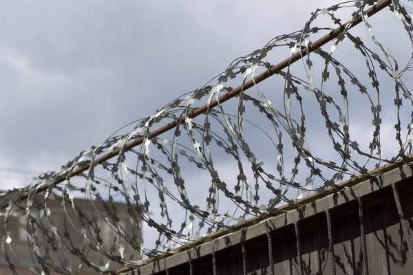 Dikenli tel çit, Rusya zirvesine kadar yara