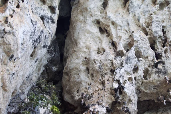 Λεπτομέρειες και τις μορφές των βράχων στο Railay χερσόνησο, Ταϊλάνδη — Φωτογραφία Αρχείου