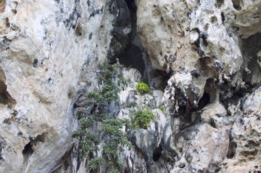 Ayrıntılar ve formları kayalar Railay Yarımadası'nda, Tayland