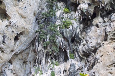 Ayrıntılar ve formları kayalar Railay Yarımadası'nda, Krabi, Tayland