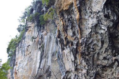 Ayrıntılar ve formları kayalar Railay Yarımadası'nda, Tayland