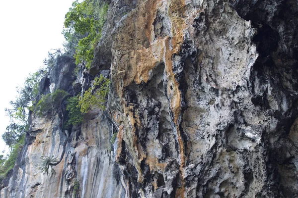 Ayrıntılar ve formları kayalar Railay Yarımadası'nda, Krabi, Tayland