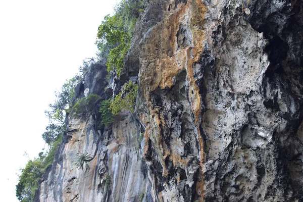 Λεπτομέρειες Και Τις Μορφές Των Βράχων Στο Railay Χερσονήσου Krabi — Φωτογραφία Αρχείου