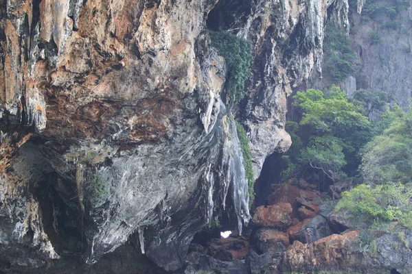 Details en vormen van rotsen op Railay schiereiland, Thailand — Stockfoto
