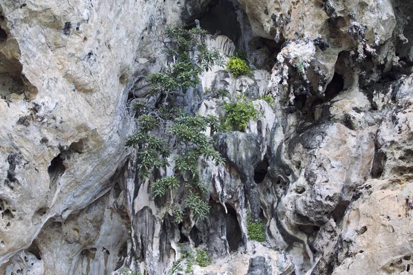 Ayrıntılar ve formları kayalar Railay Yarımadası'nda, Krabi, Tayland