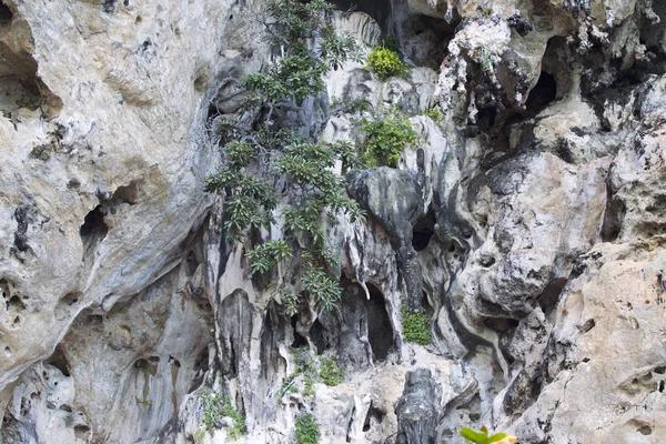 Ayrıntılar ve formları kayalar Railay Yarımadası'nda, Krabi, Tayland