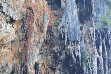 Ayrıntılar ve formları kayalar Railay Yarımadası'nda, Krabi, Tayland