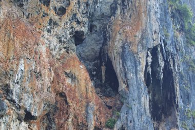 Ayrıntılar ve formları kayalar Railay Yarımadası'nda, Krabi, Tayland
