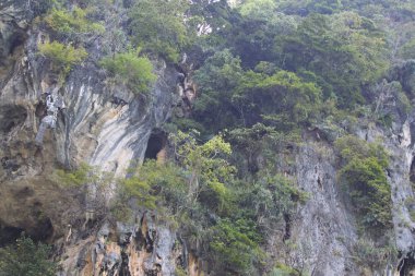Ayrıntılar ve formları kayalar Railay Yarımadası'nda, Krabi, Tayland