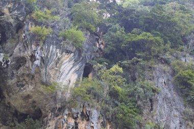 Ayrıntılar ve formları kayalar Railay Yarımadası'nda, Krabi, Tayland