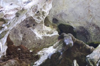 Ayrıntılar ve formları kayalar Railay Yarımadası'nda, Krabi, Tayland