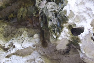 Ayrıntılar ve formları kayalar Railay Yarımadası'nda, Krabi, Tayland