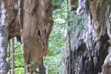 Ayrıntılar ve formları kayalar Railay Yarımadası'nda, Krabi, Tayland