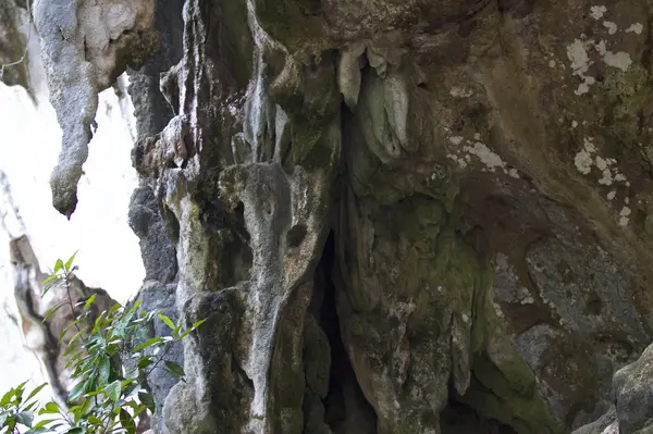 Détails Formes Des Roches Sur Péninsule Railay Krabi Thaïlande — Photo