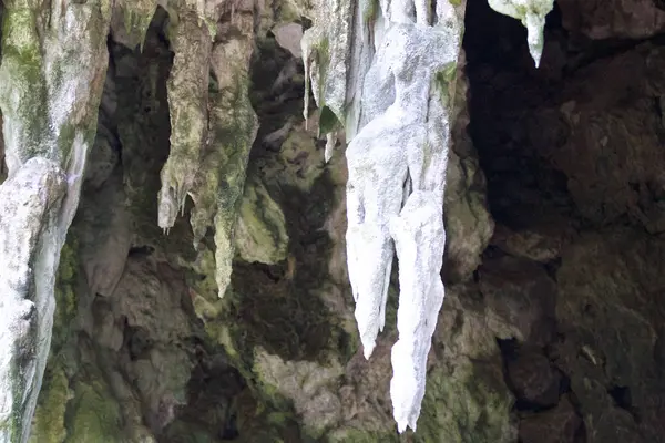 Podrobnosti Formy Skal Poloostrově Railay Město Krabi Thajsko — Stock fotografie