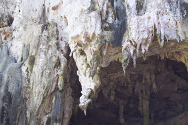 Ayrıntılar ve formları kayalar Railay Yarımadası'nda, Krabi, Tayland