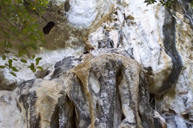 Ayrıntılar ve formları kayalar Railay Yarımadası'nda, Krabi, Tayland