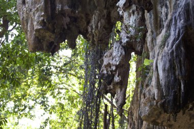 Ayrıntılar ve formları kayalar Railay Yarımadası'nda, Krabi, Tayland