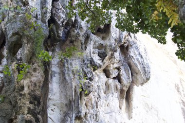 Ayrıntılar ve formları kayalar Railay Yarımadası'nda, Krabi, Tayland