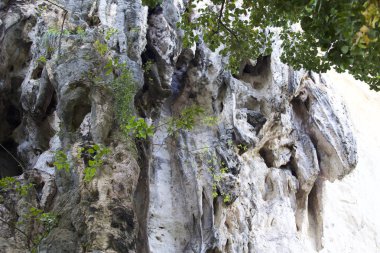 Ayrıntılar ve formları kayalar Railay Yarımadası'nda, Krabi, Tayland