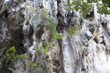 Ayrıntılar ve formları kayalar Railay Yarımadası'nda, Krabi, Tayland