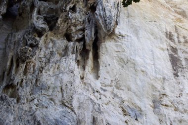 Ayrıntılar ve formları kayalar Railay Yarımadası'nda, Krabi, Tayland