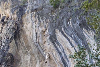 Ayrıntılar ve formları kayalar Railay Yarımadası'nda, Krabi, Tayland