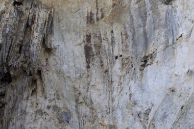Ayrıntılar ve formları kayalar Railay Yarımadası'nda, Krabi, Tayland