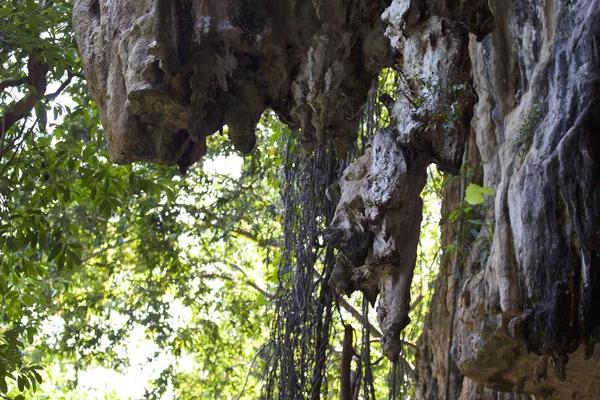 Részletek Formái Sziklák Félszigeten Railay Krabi Thaiföld — Stock Fotó