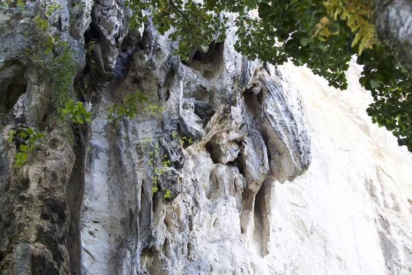 Détails Formes Des Roches Sur Péninsule Railay Krabi Thaïlande — Photo