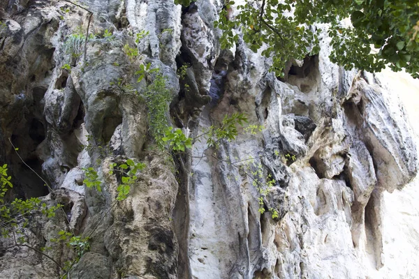 Detalles Formas Rocas Península Railay Krabi Tailandia —  Fotos de Stock