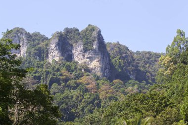 Pitoresk kayalar Railay Yarımadası, Krabi, Tayland