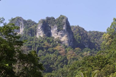 Pitoresk kayalar Railay Yarımadası, Krabi, Tayland