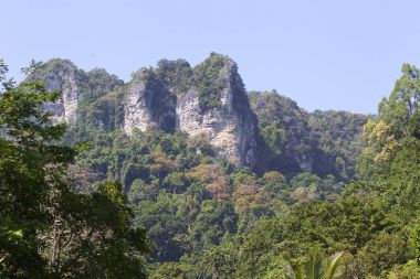Pitoresk kayalar Railay Yarımadası, Krabi, Tayland