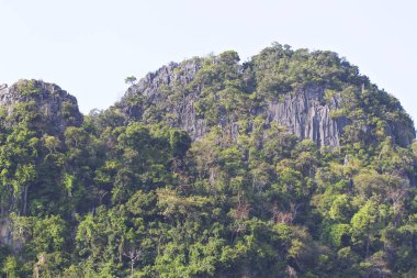 Pitoresk kayalar Railay Yarımadası, Krabi, Tayland